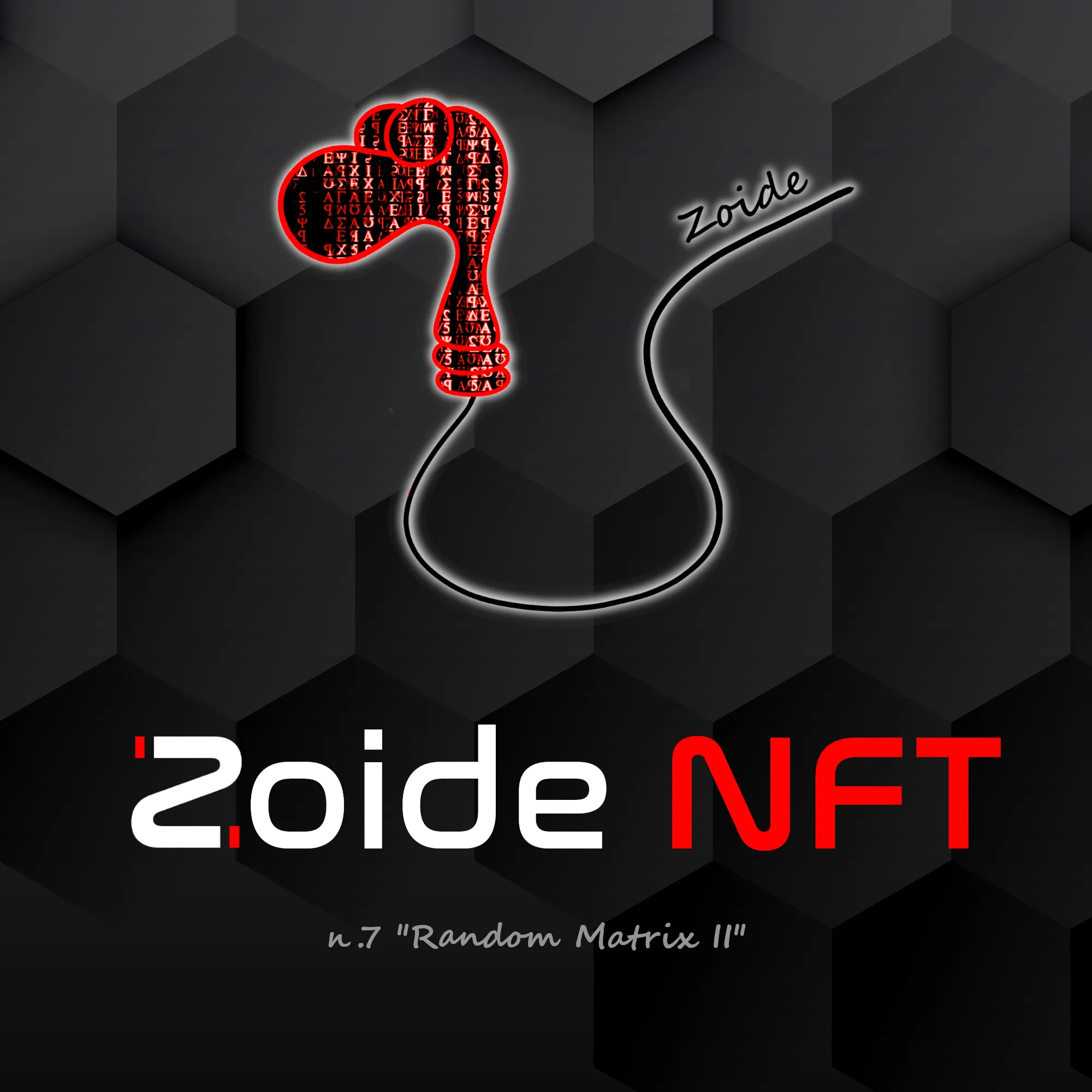 Zoide Nº 7